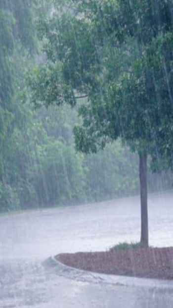 Heavy Rain Alert Issued For Bengaluru