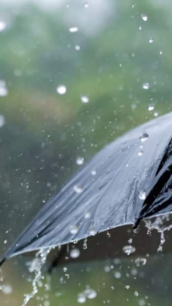 Mumbai Rains: IMD Predicts Heavy Rains This Week