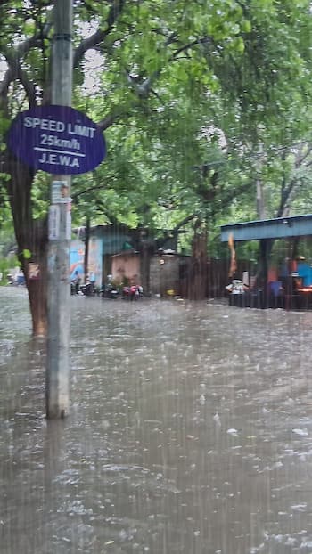 Weather Update: IMD Predicts Heavy Rains For Maharashtra