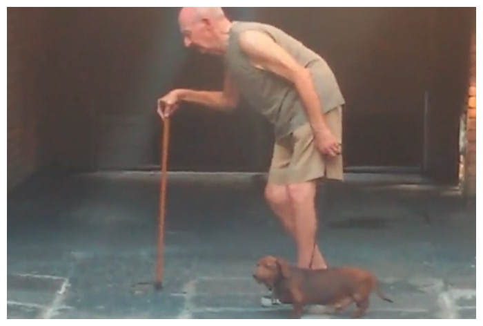 Dog Shows Amazing Patience While On Walk With Elderly Man, Hailed As Hero: Watch