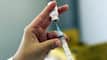 Kerala ??? Nipah ?? ?????? ?? ??? ????????? ?????? ????? ???????? ?? ????? Virus ?? ???? ?? ???? ?????