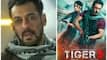 Tiger 3: Salman Khan Confirms Grand Diwali Release For His Spy Action-Thriller: 'No Looking Back' - See Pic