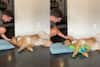 Man Doesn’t Want Pet Dog But His Family Gets One, And See What He Does: Watch Video