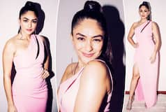 Mrunal Thakur Looks Like Real-Life Barbie Doll in Pink One-Shoulder Sleeveless Gown With Thigh-High Slit - See Hot Pics Mrunal Thakur Looks Like Real-Life Barbie Doll in Pink One-Shoulder Sleeveless Gown With Thigh-High Slit - See Hot Pics
